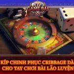 Bi Kip Chinh Phuc Cribbage Danh Cho Tay Choi Bai Lao Luyen Img